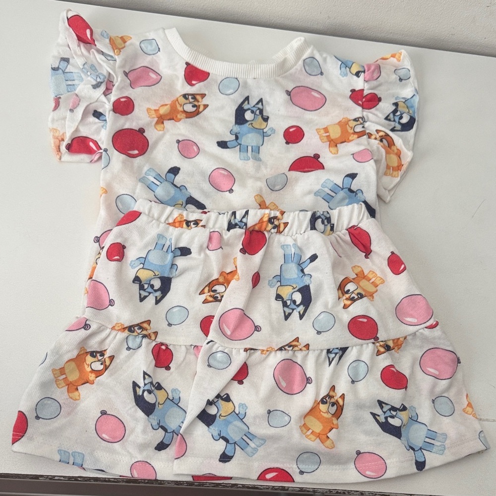 Bluey Character Top and Skirt